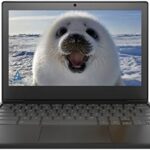 Lenovo 2022 Chromebook 3 11.6 HD for Business and Student Laptop， Intel Celeron N4020 Processor， 4GB RAM， 64GB eMMC， Intel HD Graphics， HD Webcam， Black， Chrome OS， 32GB USB Card